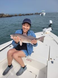 Phenomenal experience