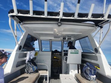 BULA, fishy ,fishy, fishy 