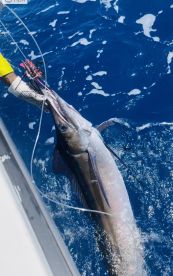 Fishing trip in March