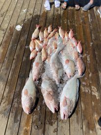 8hr day offshore fishing trip with Jacob 