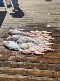 8hr day offshore fishing trip with Jacob 