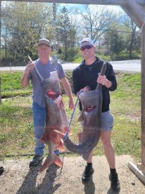 Half Day Spoonbill Trip 