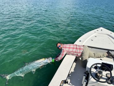 Tarpon 