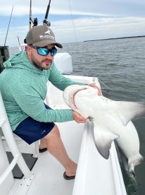 Half day Shark Trip