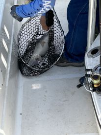 Half day with Charles