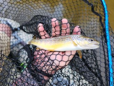 Great Amazing Time!!