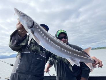 Early June ‘23 Sturgeon Fishing Trip - Astoria, OR