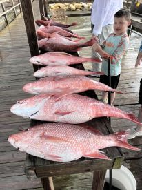 6 hour snapper and grouper trip