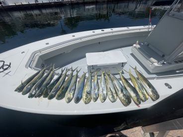 Incredible!! Look no further!!