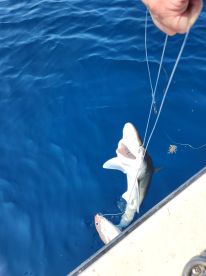 Memories for a lifetime