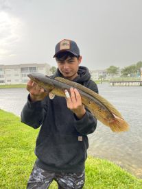 Graveyard shift snakehead hunt 🐍