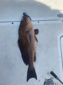 5 hours trolling trip