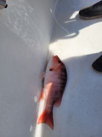 My 11 year old's first trip!