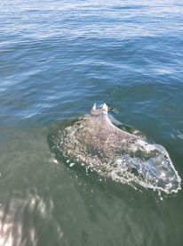 My 11 year old's first trip!