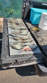 Fun day and nice haul 