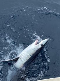 5 Hour Sight Fishing Thrill with Capt Brian 