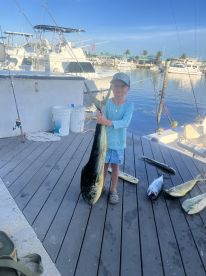Sailfish and mahi