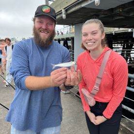 Half day Pier fishing!