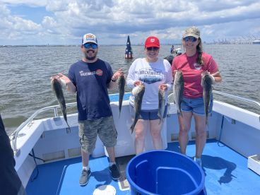 Chesapeake Bay Charter fishing!