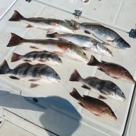 July fishing trip