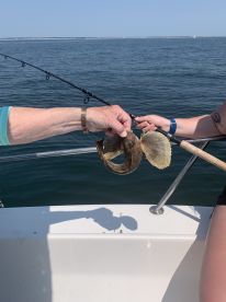 Great family fishing trip