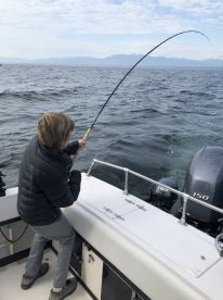 Half Day Trip with Captain Kyle