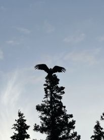 Half Day Trip with Luke on the Kasilof 