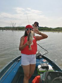 exceeded all my expectations