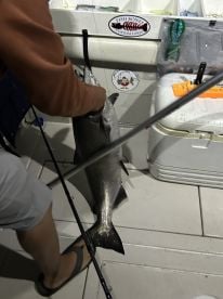 Nice trip and good catch