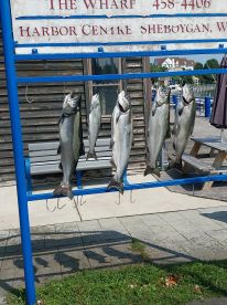 Half day trip with captain Al