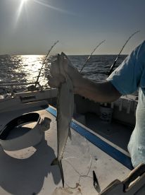 great day out on bay