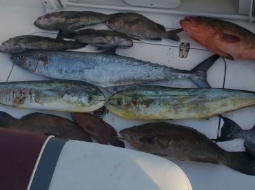 Great experience - first time off shore 