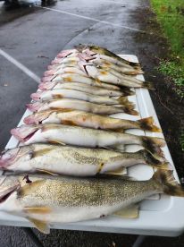 We will be back again next year 100%