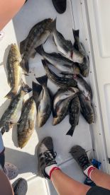 Great day for fishing!