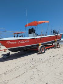 Blue Marlin Surprise