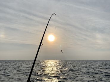 Excellent Trip near Rovinj