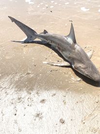 Half day trip with Johnny