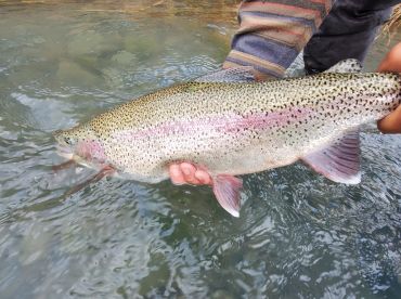 A wonderful day of fishing