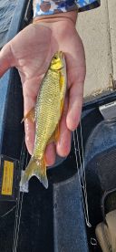 Fantastic guy and fantastic guide 