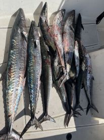 Would 100% recommend!