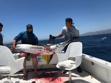Cabo fishing At it’s best