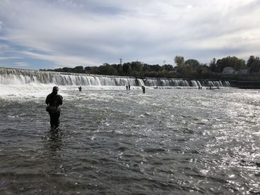 Knowledgeable and hard working guide. 