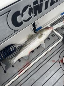 October Fishing Trip