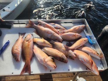 There name says it all