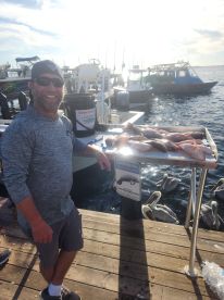 There name says it all