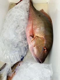 Best fishing trip ever!