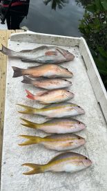 Epic Day at Sea: Key Largo Fishing Triumph with Captain Daniel Carbajales!