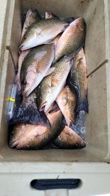 BETTER THAN EXPECTED 