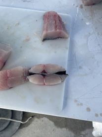 Amazing trip, super friendly captain and crew