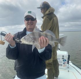 An Honest Review After Almost 100 6 hour trips in 10+ years